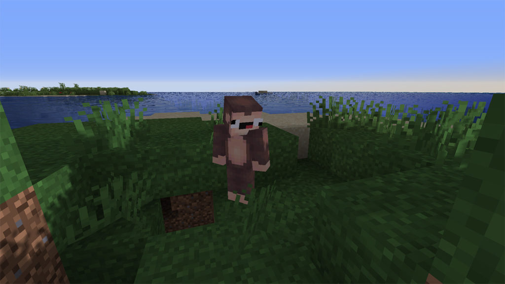 Starting a new Minecraft Survival Mode game as Durr Monkey.